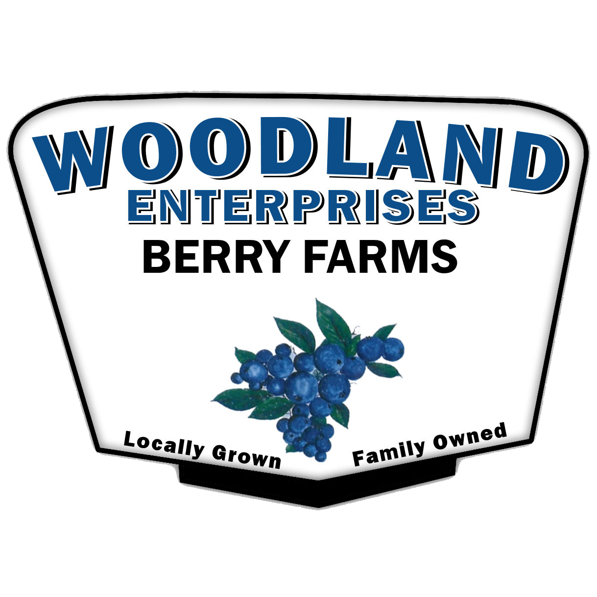 Woodland Enterprises Inc.